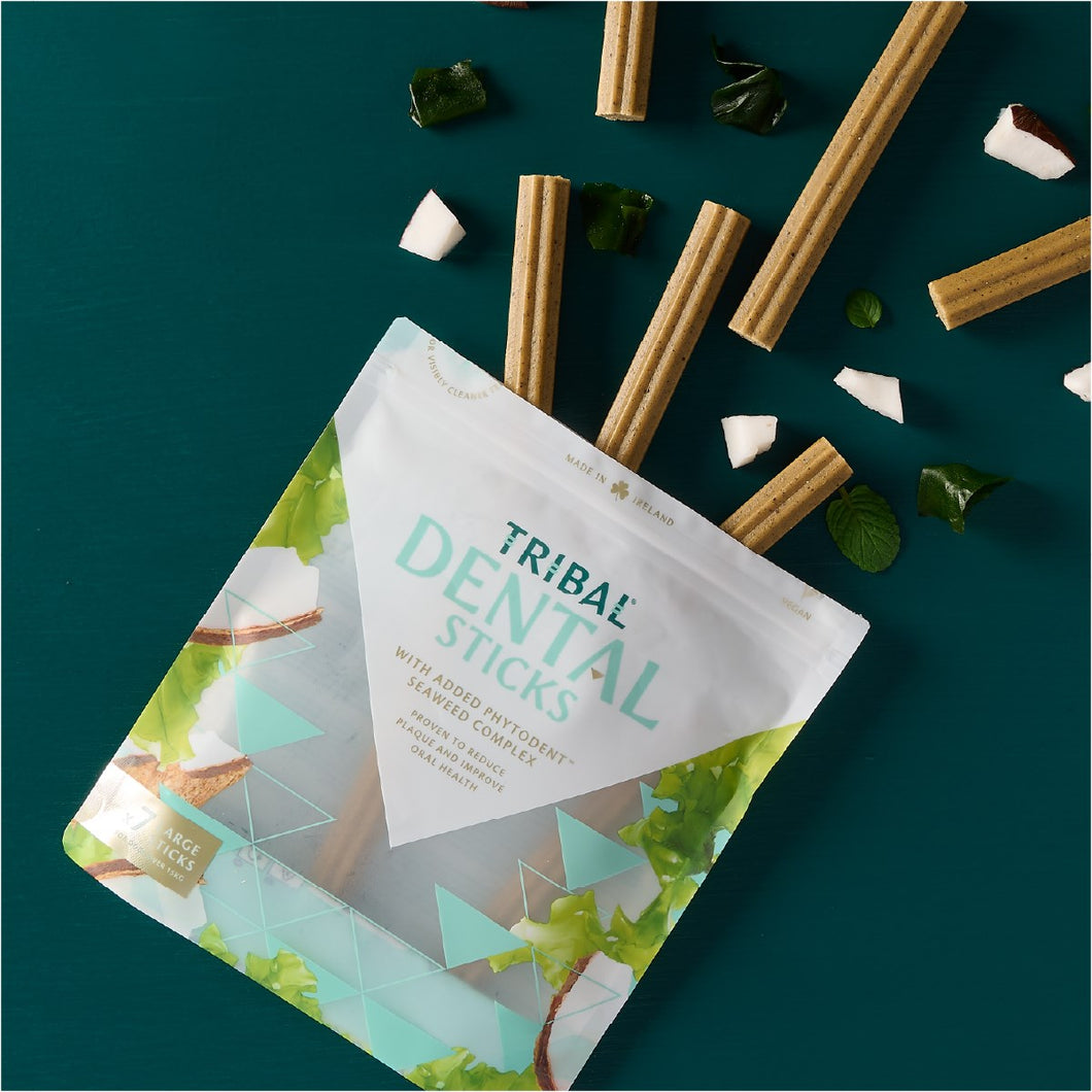 TRIBAL - DENTAL STICKS