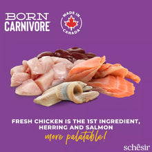 Load image into Gallery viewer, SCHESIR BORN CARNIVORE - CHICKEN WITH HERRING &amp; SALMON
