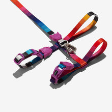 Load image into Gallery viewer, ZEE.CAT - PRISMA - HARNESS WITH LEASH
