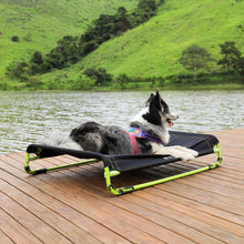 Load image into Gallery viewer, ZEE.DOG - AIR.BED BLACK

