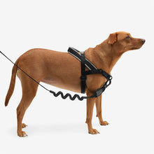 Load image into Gallery viewer, ZEE.DOG - GOTHAM SOFTER WALK HARNESS
