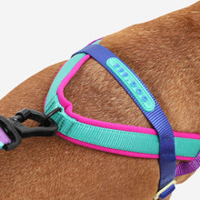 Load image into Gallery viewer, ZEE.DOG - SHOCKWAVE SOFTER WALK HARNESS

