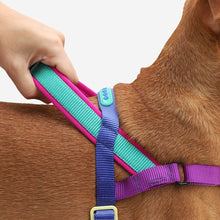 Load image into Gallery viewer, ZEE.DOG - SHOCKWAVE SOFTER WALK HARNESS
