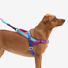 Load image into Gallery viewer, ZEE.DOG - SHOCKWAVE SOFTER WALK HARNESS
