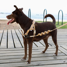 Load image into Gallery viewer, ZEE.DOG - DUNE SOFTERWALK HARNESS
