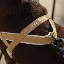 Load image into Gallery viewer, ZEE.DOG - DUNE SOFTERWALK HARNESS
