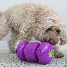 Load image into Gallery viewer, KONG - REPLAY TREAT DISPENSER PURPLE
