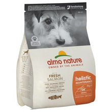 Load image into Gallery viewer, ALMO NATURE HOLISTIC - MAINTENANCE ADULT DOG - FRESH SALMON
