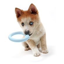Load image into Gallery viewer, LOLA - PETIT TEETHING TOY
