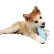 Load image into Gallery viewer, CHICO - PETIT TREAT TOY
