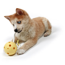 Load image into Gallery viewer, MILO - PETIT CHEW TOY
