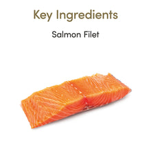 Load image into Gallery viewer, SALMON LOINS
