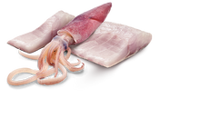 Load image into Gallery viewer, FARMINA OCEAN - ADULT DOG - SEABASS &amp; SQUID
