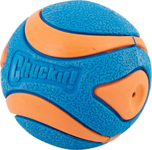 Load image into Gallery viewer, CHUCKIT SQUEAKER
