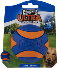 Load image into Gallery viewer, CHUCKIT SQUEAKER

