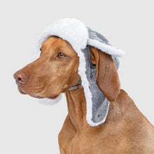 Load image into Gallery viewer, CANADA POOCH - THE ARTIC AIR HAT - GREY
