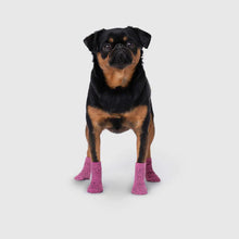 Load image into Gallery viewer, CANADA POOCH - THE BASIC SOCK - PINK

