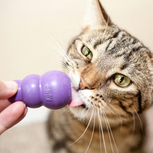 Load image into Gallery viewer, KONG - KITTY KONG

