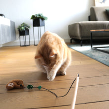 Load image into Gallery viewer, D&amp;D HOME COLLECTION - LENTO - CAT TEASER WITH BALL
