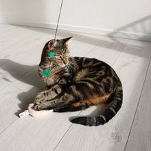 Load image into Gallery viewer, D&amp;D HOME COLLECTION - LENTO - CAT TEASER WITH BALL
