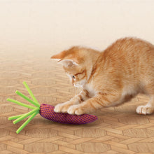 Load image into Gallery viewer, KONG - NIBBLE CARROTS
