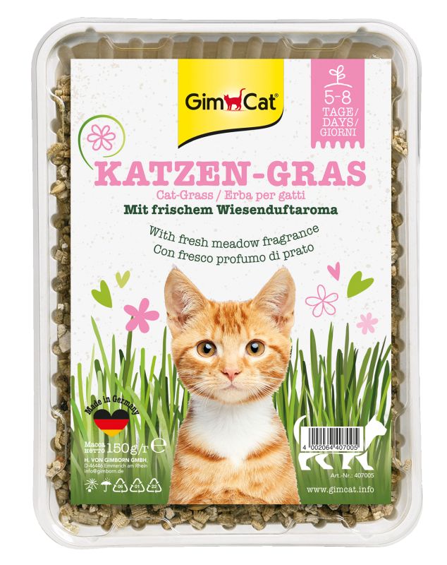 GIM CAT - GRASS