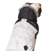 Load image into Gallery viewer, CANADA POOCH - ECO TRUE NORTH PARKA - MARBLE
