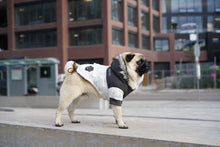 Load image into Gallery viewer, CANADA POOCH - ECO TRUE NORTH PARKA - MARBLE
