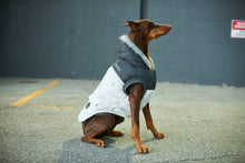 Load image into Gallery viewer, CANADA POOCH - ECO TRUE NORTH PARKA - MARBLE
