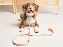 Load image into Gallery viewer, PAWNESS - VEGAN LEATHER LEASH BO
