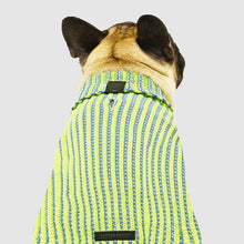 Load image into Gallery viewer, CANADA POOCH - ICON SWEATER - GREEN/BLUE
