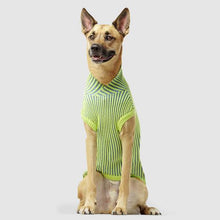 Load image into Gallery viewer, CANADA POOCH - ICON SWEATER - GREEN/BLUE
