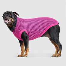 Load image into Gallery viewer, CANADA POOCH - ICON SWEATER - PINK/NAVY
