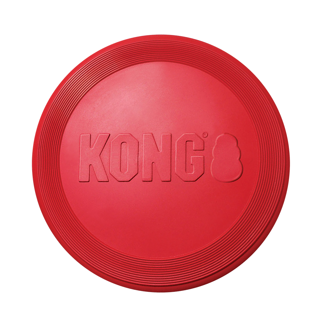 KONG - FLYER