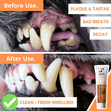 Load image into Gallery viewer, DOGSLIFE - DENTAL KIT
