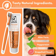 Load image into Gallery viewer, DOGSLIFE - DENTAL KIT

