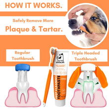 Load image into Gallery viewer, DOGSLIFE - DENTAL KIT

