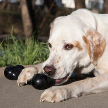 Load image into Gallery viewer, KONG - EXTREME GOODIE BONE
