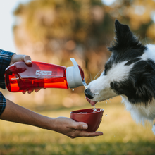 Load image into Gallery viewer, KURGO - H2O BOTTLE &amp; BOWL
