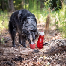 Load image into Gallery viewer, KURGO - H2O BOTTLE &amp; BOWL
