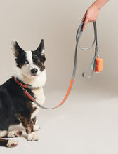 Load image into Gallery viewer, PAWNESS - VEGAN LEATHER LEASH BO

