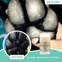 Load image into Gallery viewer, NATURAL DOG COMPANY - PAW TECTION
