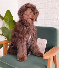 Load image into Gallery viewer, PAWNESS - PUPPY MILESTONE CARDS
