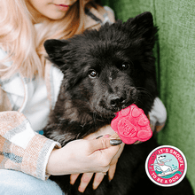 Load image into Gallery viewer, SMOOFL - MIX FOR DOG ICE CREAM - DIFFERENT TASTES
