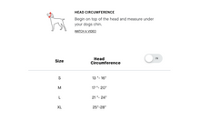 Load image into Gallery viewer, CANADA POOCH - POLAR POM POM HAT - CHARCOAL
