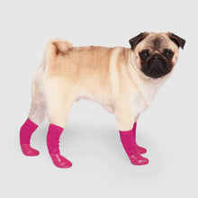 Load image into Gallery viewer, CANADA POOCH - THE SLOUCHY SOCK - PINK
