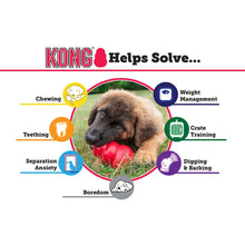 Load image into Gallery viewer, KONG - CLASSIC
