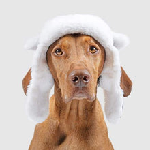 Load image into Gallery viewer, CANADA POOCH - THE ARTIC AIR HAT - GREY
