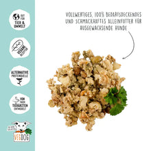 Load image into Gallery viewer, VEGDOG - LENTIL &amp; MILLET
