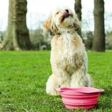 Load image into Gallery viewer, BECO - TRAVEL BOWL - PINK
